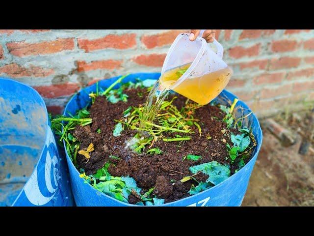 Compost the Black Gold! Composting for Beginners, Zero-Waste, Zero-Cost and Zero Space Required