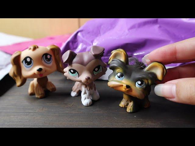 LPS from LPSQueen com and Mercari.