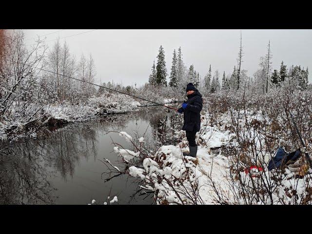 Продолжаем закрывать сезон жидкой воды . рыбалка на удочку.