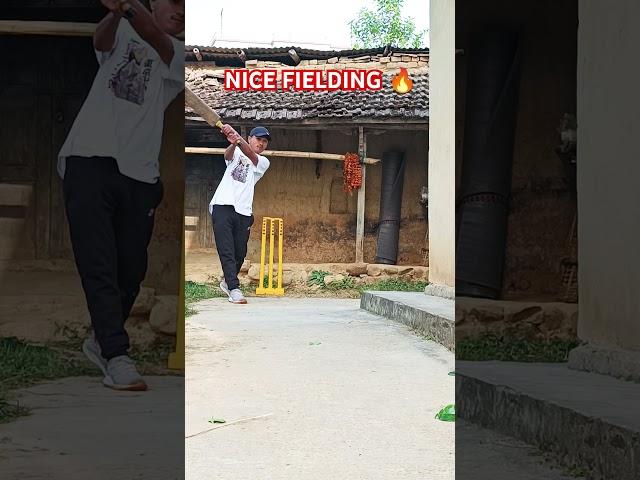 Fielding of the Day...#cricket #cricketlover #nepal #india #shorts #short #shortvideo #video #views