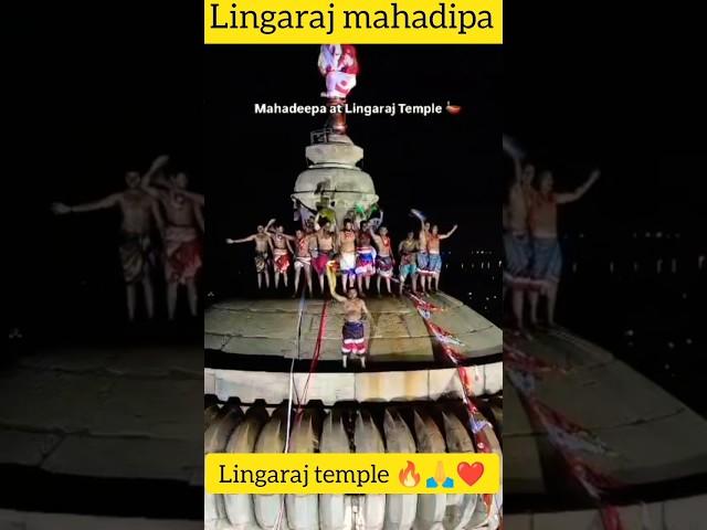 Lingaraj temple mahadipa  #trending #viralvideo #live #blogs #vlog #shorts #short #shortvideo #yt