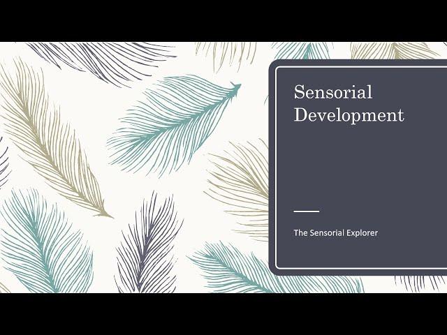 Montessori Sensorial Overview