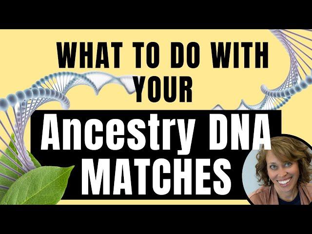 What to do with Your Ancestry DNA Matches