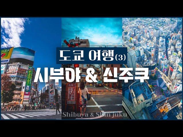 [여행의 정석] 도쿄  여행 (3) 떠오르는 핫플 모음.zip이자 패션의 메카 시부야·하라주쿠·신주쿠｜쇼핑·맛집·동선·꿀팁