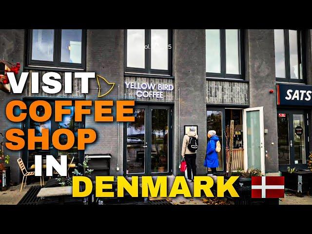 Denmark || The Tour of coffee culture in denmark  Guide For Everyone ||  Copenhagen coffee culture