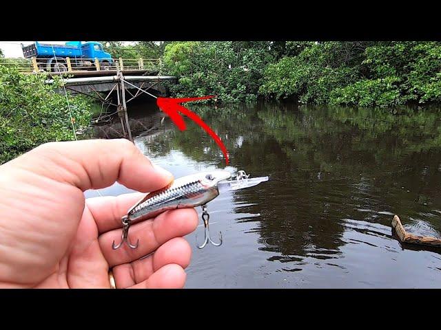 Não imaginava que Tinha TANTOS ROBALOS nesse pequeno Rio dentro da Cidade - Pescaria de Robalo