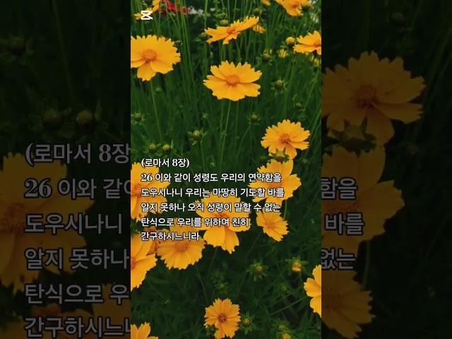 말씀찬양 로마서 8:26 나의 연약함을 도우시는 성령님