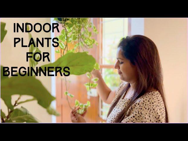 Top 10 Indoor Plants for beginner||Home decoration ideas with greenery||Indoor Plants for Home Decor