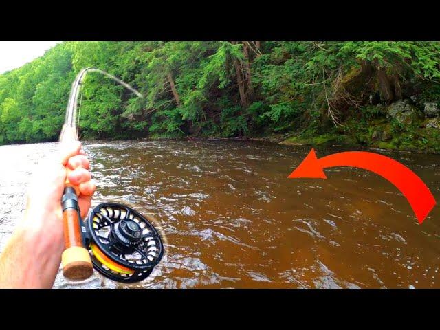 THE HUNT FOR GIANT TROUT Ep 2 | Rainy Day RECORD Brown Trout!