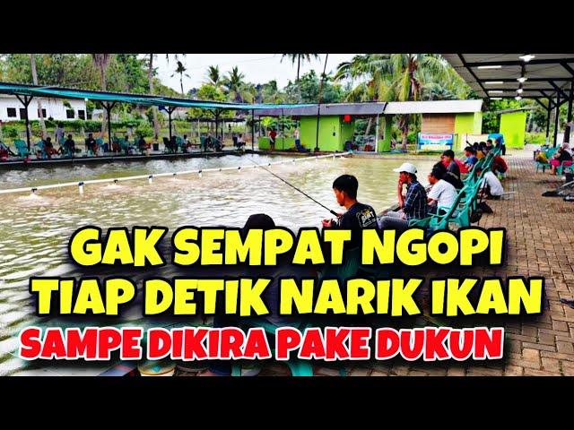 Kita Bongkar Rahasia Bikin Umpan Agar Neter Sampai Menit Akhir