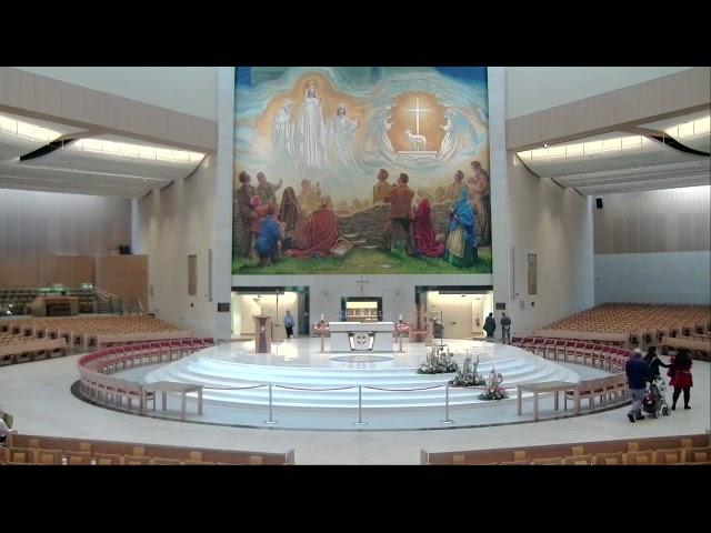 Knock Shrine Live Stream