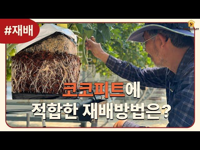 2024 마켓컬리 우수농가의 비밀 | ep.12 코코피트에 적합한 재배방법은?