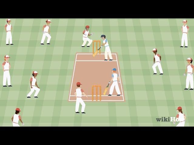 How to Play Cricket