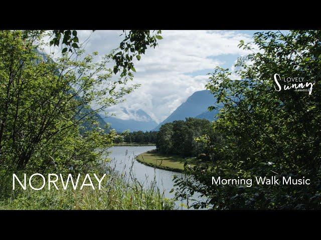 Morning walk music | Norway | Sunndal | Driva river