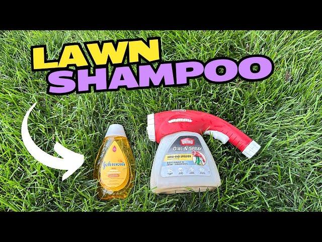 Why YOU Should SHAMPOO Your Lawn!