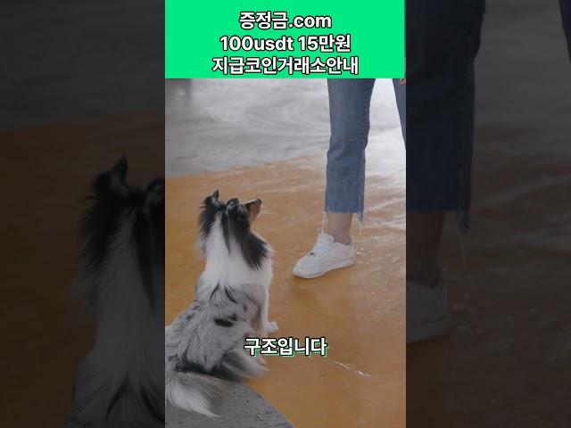 하이브(HIVE) 코인, 소셜 미디어 3.0의 선두주자! 수익 창출의 새로운 패러다임