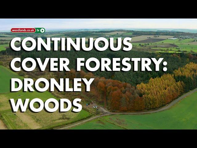 Continuous Cover Forestry - At Dronley Community Woodland