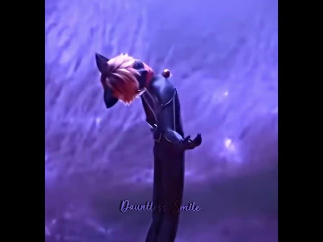 I will take the bullet for you    #miraculousladybug #miraculousawakening #catnoir