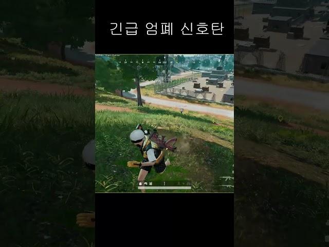 긴급 엄폐 신호탄 사용방법  #shorts #카배 #사녹 #pubg #매드무비 #배틀그라운드 #배그 #battleground #카카오배그 #배린이 #고인물 #fps #부트캠프