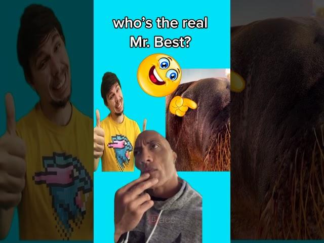 Who’s the real Mr. Beast?