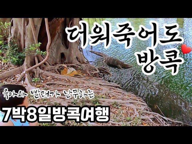 7박8일 방콕여행1애 없을때 실컷 가라. 일단 갔다오면 또 가는 방콕/짜뚜짝,시암파라곤/빅씨털기/쩻페어야시장/룸피니공원/차트리움그랜드 방콕호텔 vlog