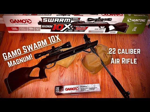 Gamo Swarm 10X Magnum Gen. 2 .22 Caliber Air Rifle!  Field review... 35, 50, and 100 yards!!!