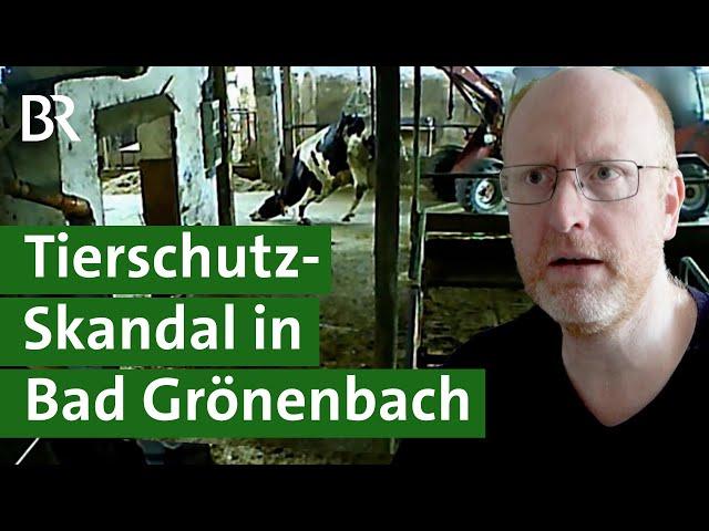 Nach Tierschützer-Videos: Prozess um gequälte Kühe auf Milchviehbetrieb im Allgäu | Unser Land | BR