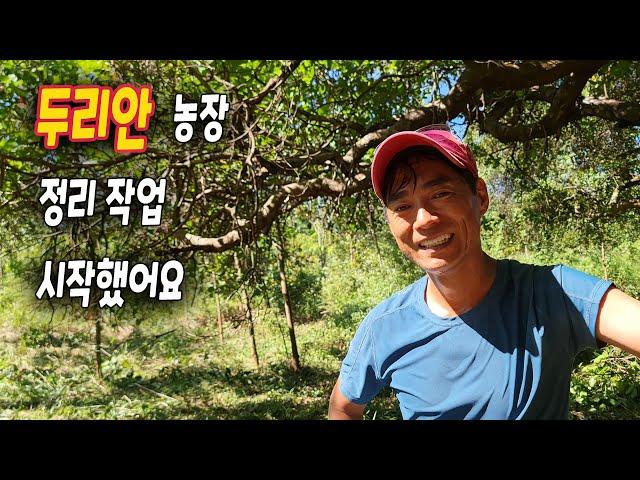 ep297 농장 부지 정리 시작했어요