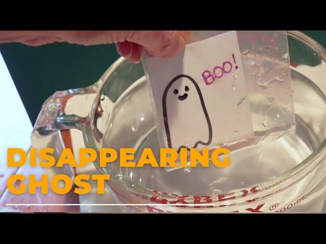 The Disappearing Ghost Experiment – Halloween Science Activity for Kids