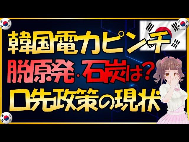 【韓国のギリギリな電力事情】猛暑で電力ピンチ！脱原発・脱石炭はいずこへ？韓国経済への影響
