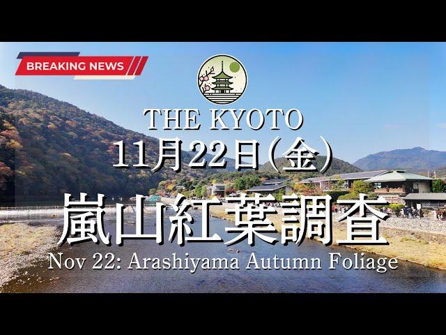 [Breaking News] The autumn leaves situation in Arashiyama on Friday, November 22