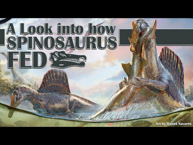 A Look into how Spinosaurus Fed