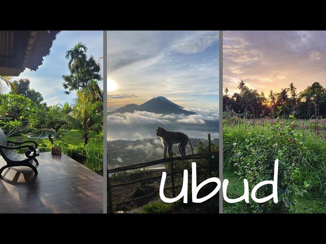 Vlog 22 - Backpacking Indonesien // Ubud