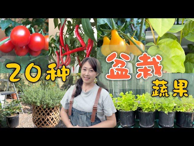 【Garden106】20 kinds of vegetables and fruits that can grow in pots | 20种可以种在花盆里的蔬果