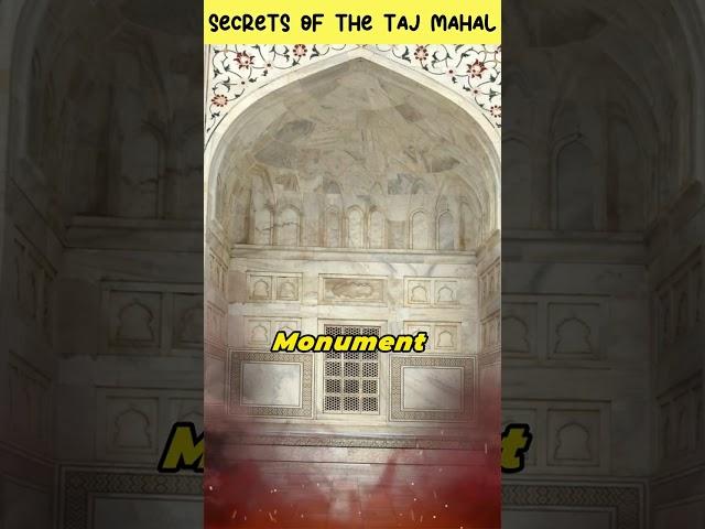 Hidden Secrets of Taj Mahal #shorts #dotfacts #tajmahal #tajmahalmystery