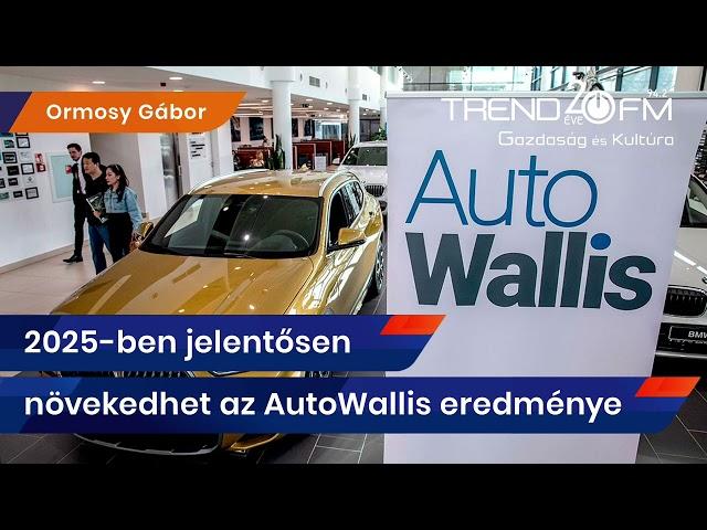 2025-ben jelentősen növekedhet az AutoWallis eredménye | Trend FM