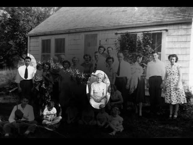 Morphic Fields and Family Constellations