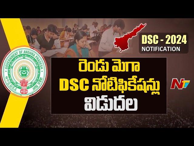 AP: Mega DSC To Be Released on June 30 | CM Chandrababu | Ntv