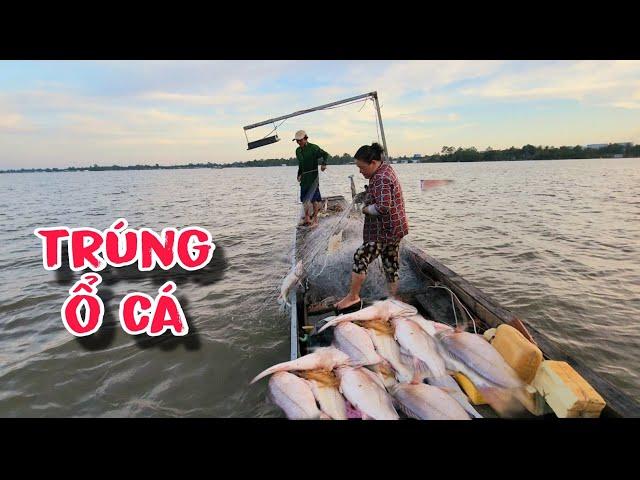 Trúng Bầy Cá Sủ Lớn Nhất Từ Trước Tới Nay | #66TV #fishing