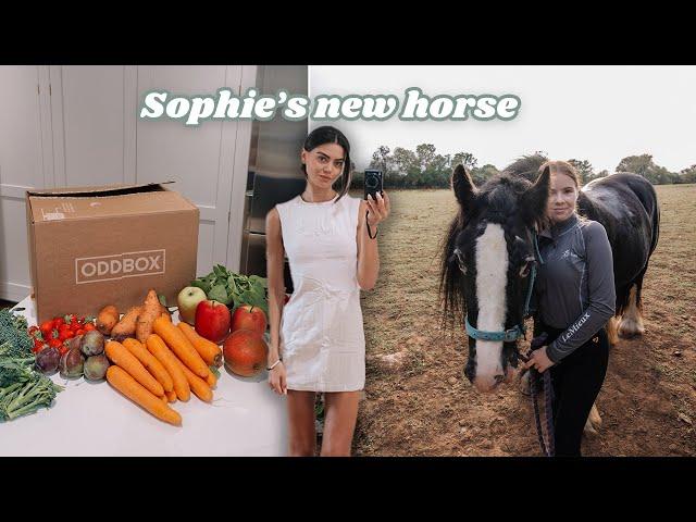 FAMILY VLOG: meal prepping for the week + meeting Sophie's new horse  fall vlog 2024