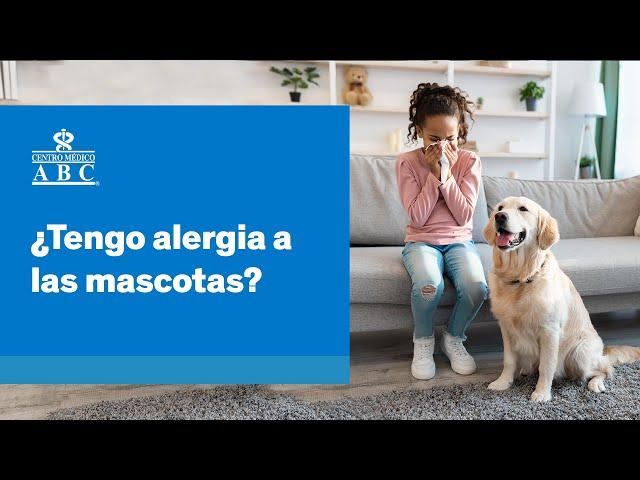 Tengo alergia a las mascotas