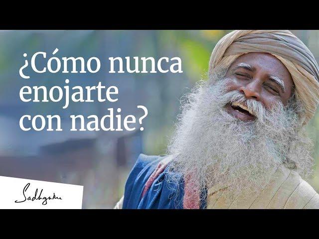 ¿Cómo nunca enojarte con nadie? │Sadhguru