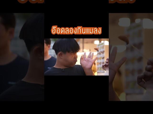 อ๊อดลองกินแมลง #สุดปลอกอ๊อดกัสเต๋า #ZENSEEntertainment