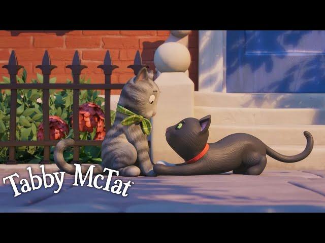 Tabby McTat Has a Crush🩷 @GruffaloWorld: Compilation