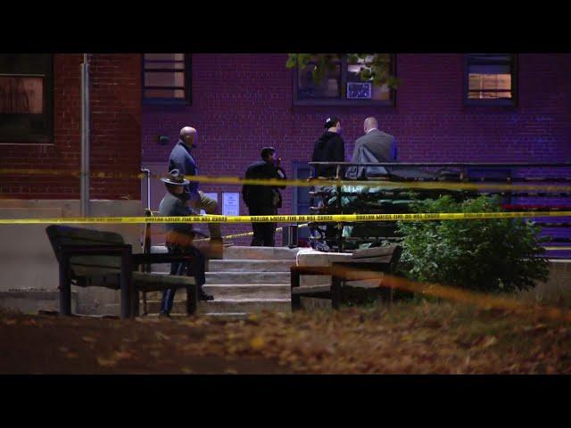 Arrest made after shooting near Jamaica Plain housing complex