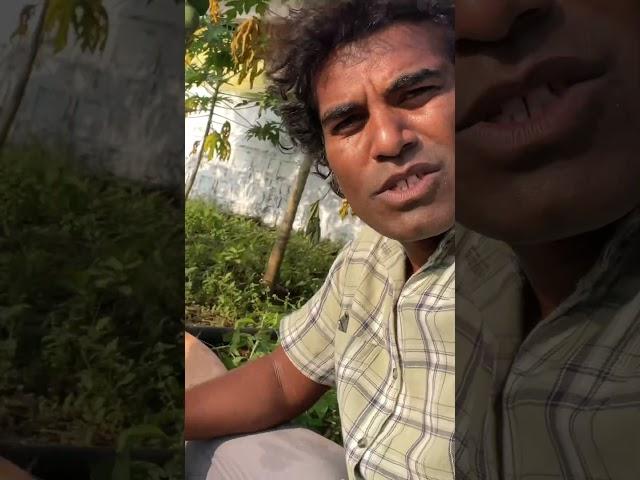 #vlog2024 #dripirrigation #farming #irrigationlife #narendravlog