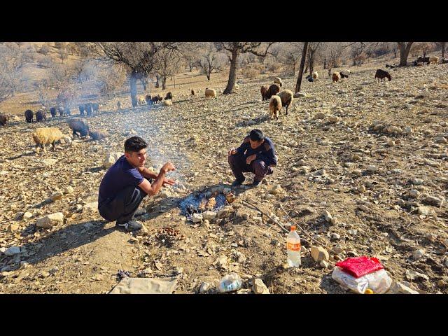 Nomadic Life: Traditional Nomadic Herding: Harsh Nomadic Life in Winter️