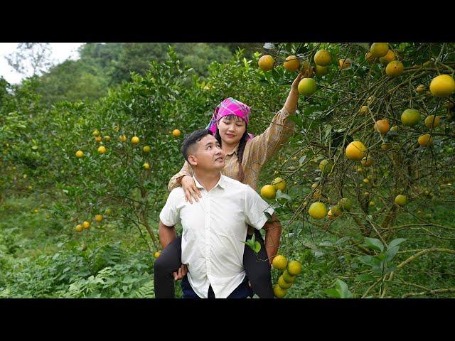 A day of complete happiness together: Engineer help single mother harvest orange go to market sell