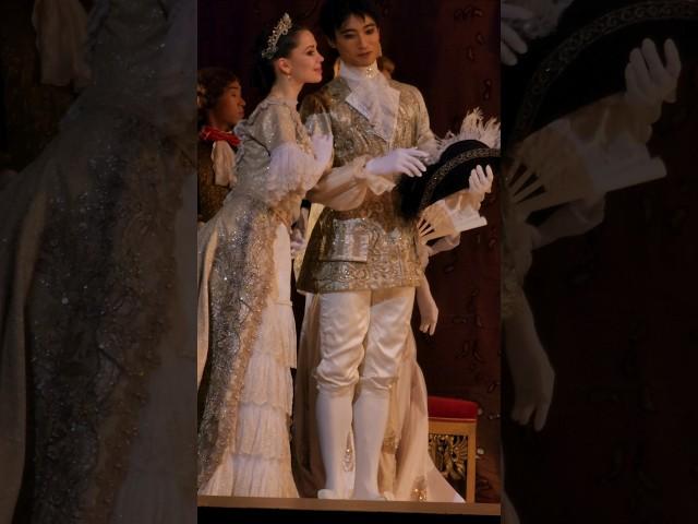 The Sleeping Beauty(24.11.2022) act 3 Maria Shrinkina, Kimin Kim (김기민) #ballet #balletdancer #김기민