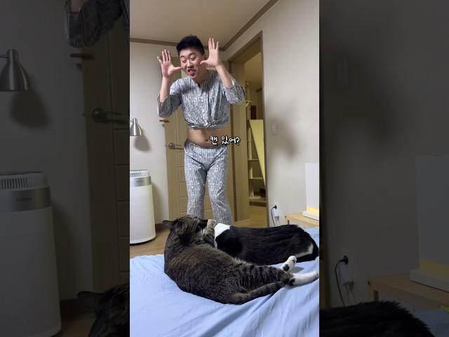 오빠 츄르 많아? #shortvideo #shots #고양이 #시트콤